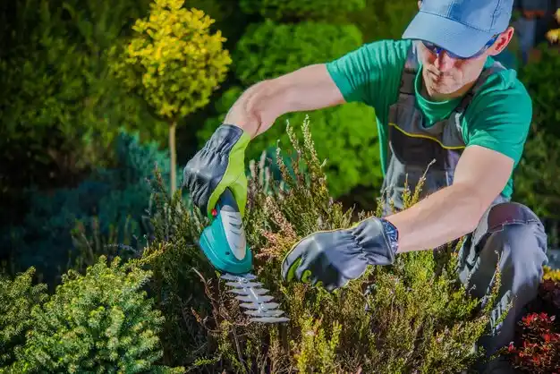 landscaping services Cayuga